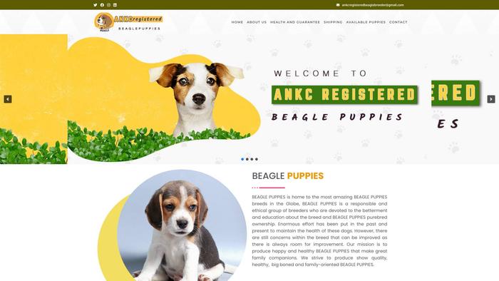 Ankcregisteredbeaglespups.com Shipping Scam Review|