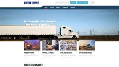 Brinkdeliveryservice.com Shipping Scam Review
