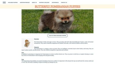 Butterflypomeranianpupps.com Shipping Scam Review|