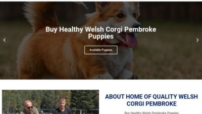 Buyhealthywelshipembrokepuppies.com Shipping Scam Review|