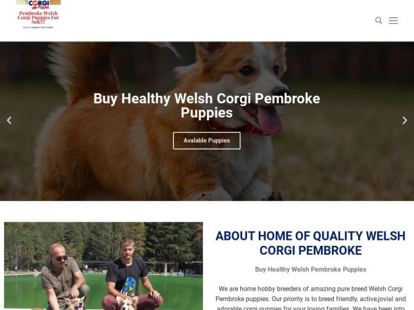 Buyhealthywelshipembrokepuppies.com Shipping Scam Review|