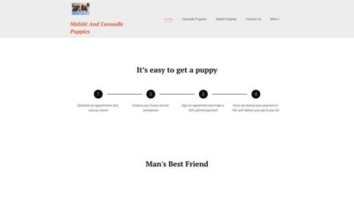 Cavoodleandmalshipuppies.site Shipping Scam Review