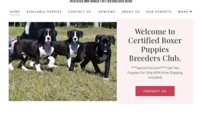 Certifiedboxerpuppiesbreeder.club Shipping Scam Review|
