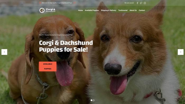 Corgindachshund.com Shipping Scam Review|