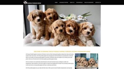 Dashingteacuppoodles.com Shipping Scam Review|