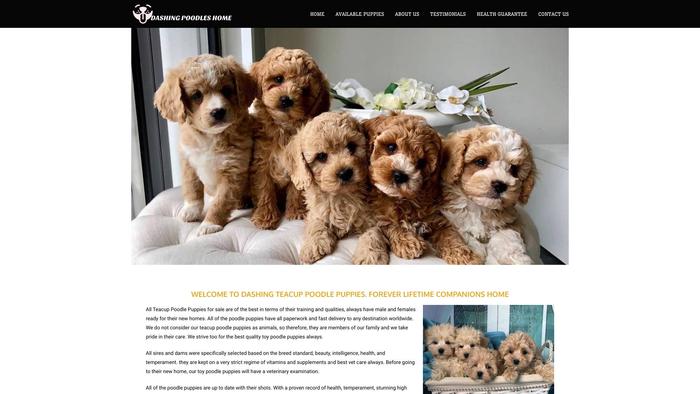 Dashingteacuppoodles.com Shipping Scam Review|