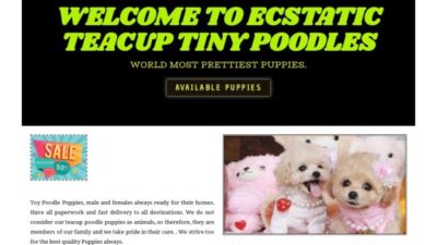 Ecstaticteacuppoodles.com Shipping Scam Review|