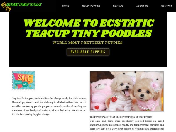 Ecstaticteacuppoodles.com Shipping Scam Review|