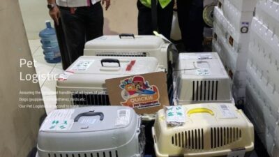 Emstranslogistics.com Shipping Scam Review|
