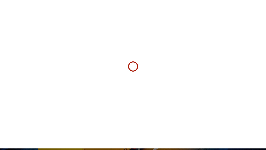 Equalworlddelivery.us Shipping Scam Review|