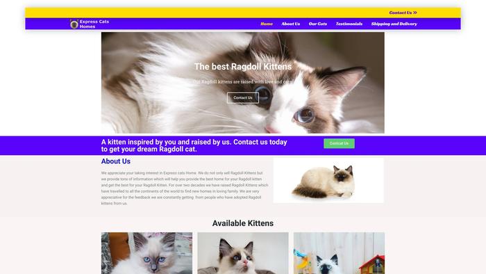 Expresscatshomes.com Shipping Scam Review