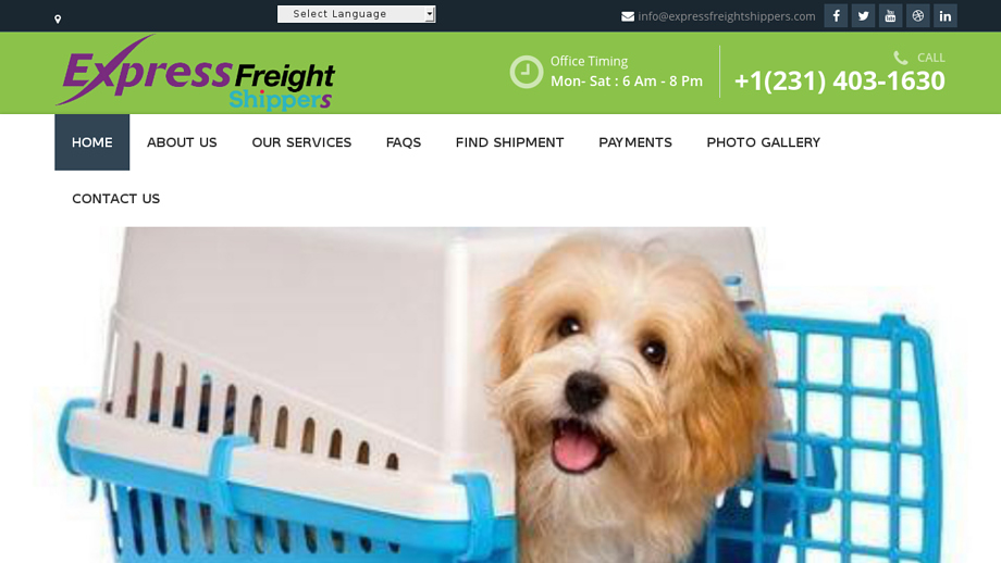 Expressfreightshippers.com Shipping Scam Review|