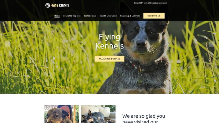 Flyingkennels.com Shipping Scam Review|