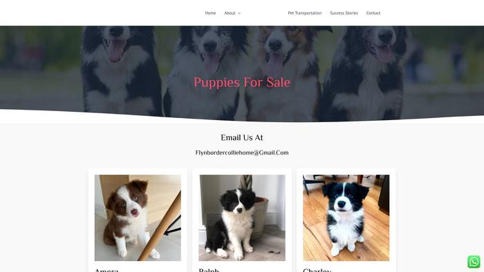 Flynbordercolliehome.com Shipping Scam Review