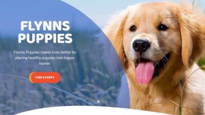 Flynnspuppies.com Shipping Scam Review|