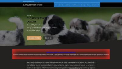 Gloriousbordercollies.com Shipping Scam Review