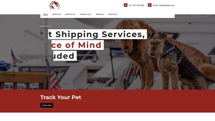 Internationalairpetify.com Shipping Scam Review|