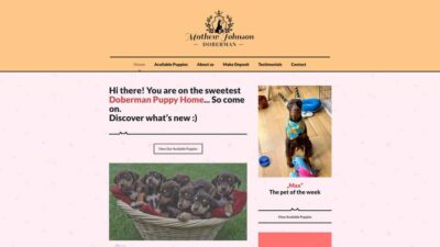 Matthewjohnsondoberman.com Shipping Scam Review