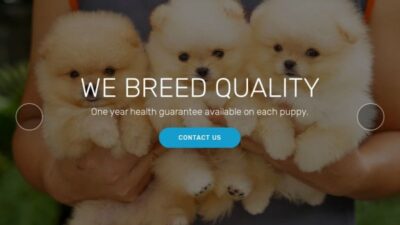 Micropomeranianshome.com Shipping Scam Review|
