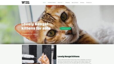 Modernpetshippers.com Shipping Scam Review|
