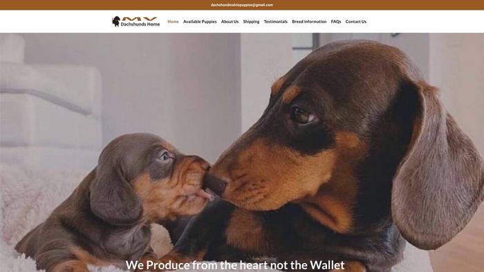 Mvdachshundshome.com Shipping Scam Review|