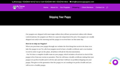 Myteacuppuppies.com Shipping Scam Review|