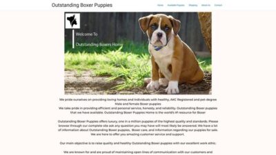 Outstandingboxers.com Shipping Scam Review|