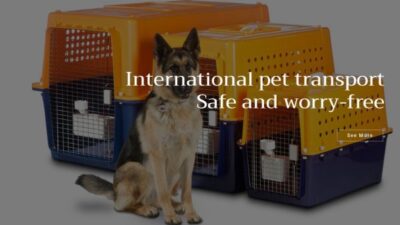 Petsplacedelivery.com Shipping Scam Review|