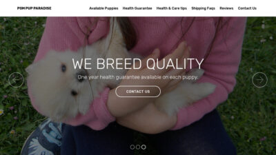 Pompupparadise.com Shipping Scam Review|