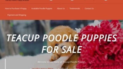 Poodlespalace.com Shipping Scam Review|