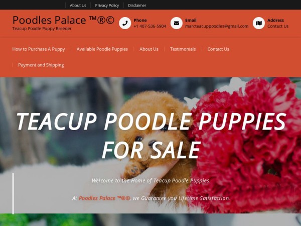 Poodlespalace.com Shipping Scam Review|