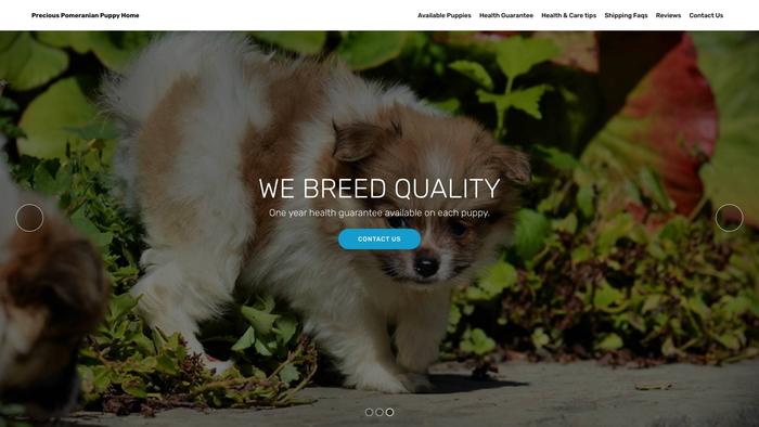 Preciouspomeranianpuppyhome.com Shipping Scam Review|