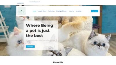 Raniapersiancattery.com Shipping Scam Review|