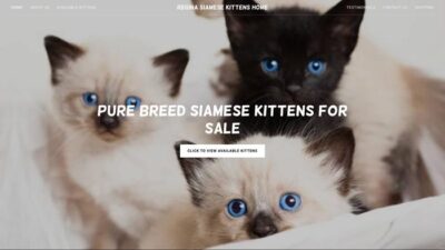 Reginasiamesekitten.com Shipping Scam Review|