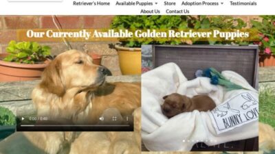 Retriever-home.com Shipping Scam Review|