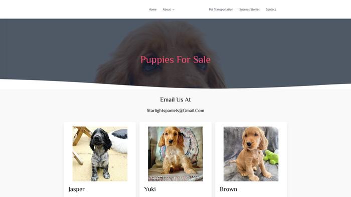 Robmondspaniels.com Shipping Scam Review