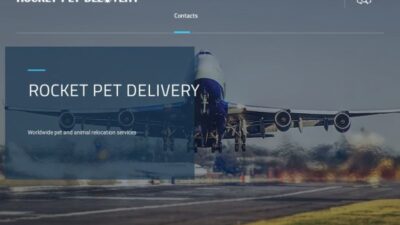 Rocketpetdelivery.com Shipping Scam Review|