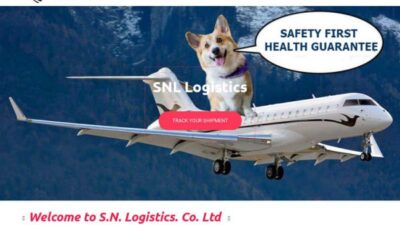 S-n-logistics.net Shipping Scam Review|
