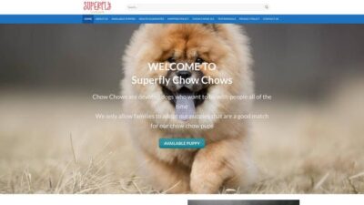 Superflychowchows.com Shipping Scam Review|