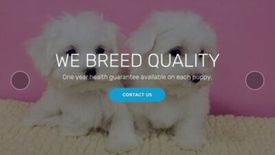 Tatianateacuppups.com Shipping Scam Review|