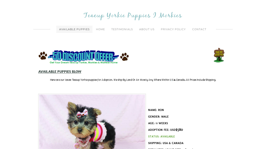 Teacuptoyyorkiepuppies.com Shipping Scam Review|