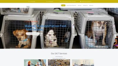 Transexprecourierline.com Shipping Scam Review|