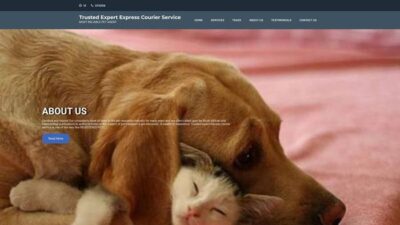 Trustedexpertexpresscourierservice.com Shipping Scam Review|