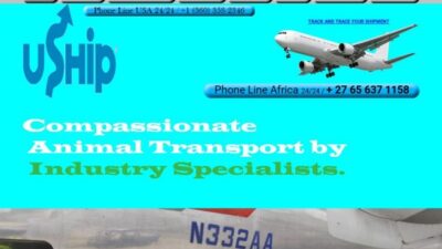 Ushipanimalrelocation.com Shipping Scam Review|