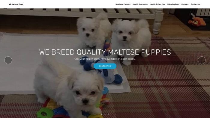 Vbmaltesepups.com Shipping Scam Review|