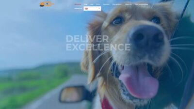 Voyageeurope-express.com Shipping Scam Review|