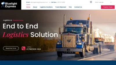 A screenshot of Bluelightexpress.com