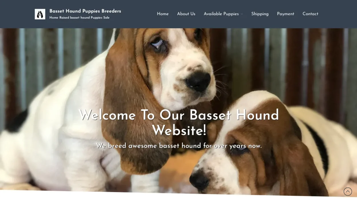 A screenshot of Breederbassethoundhome.com