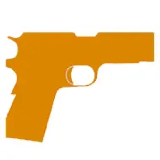 Stop Gun Scams