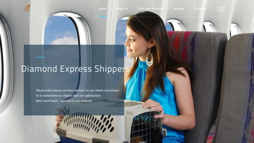 A screenshot of Diamondexpessshipping.com